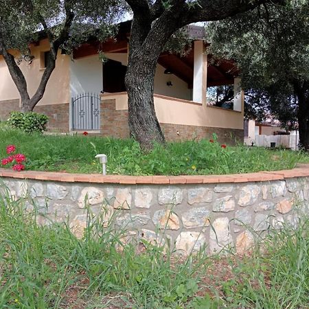 דירות מרינה די קמרוטה Casa Vacanze Tramonto מראה חיצוני תמונה